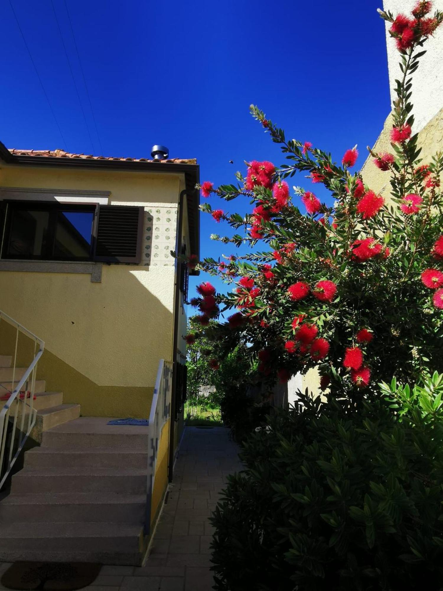Casa Sao Pedro Belinho Only Pilgrims Bed & Breakfast Bagian luar foto
